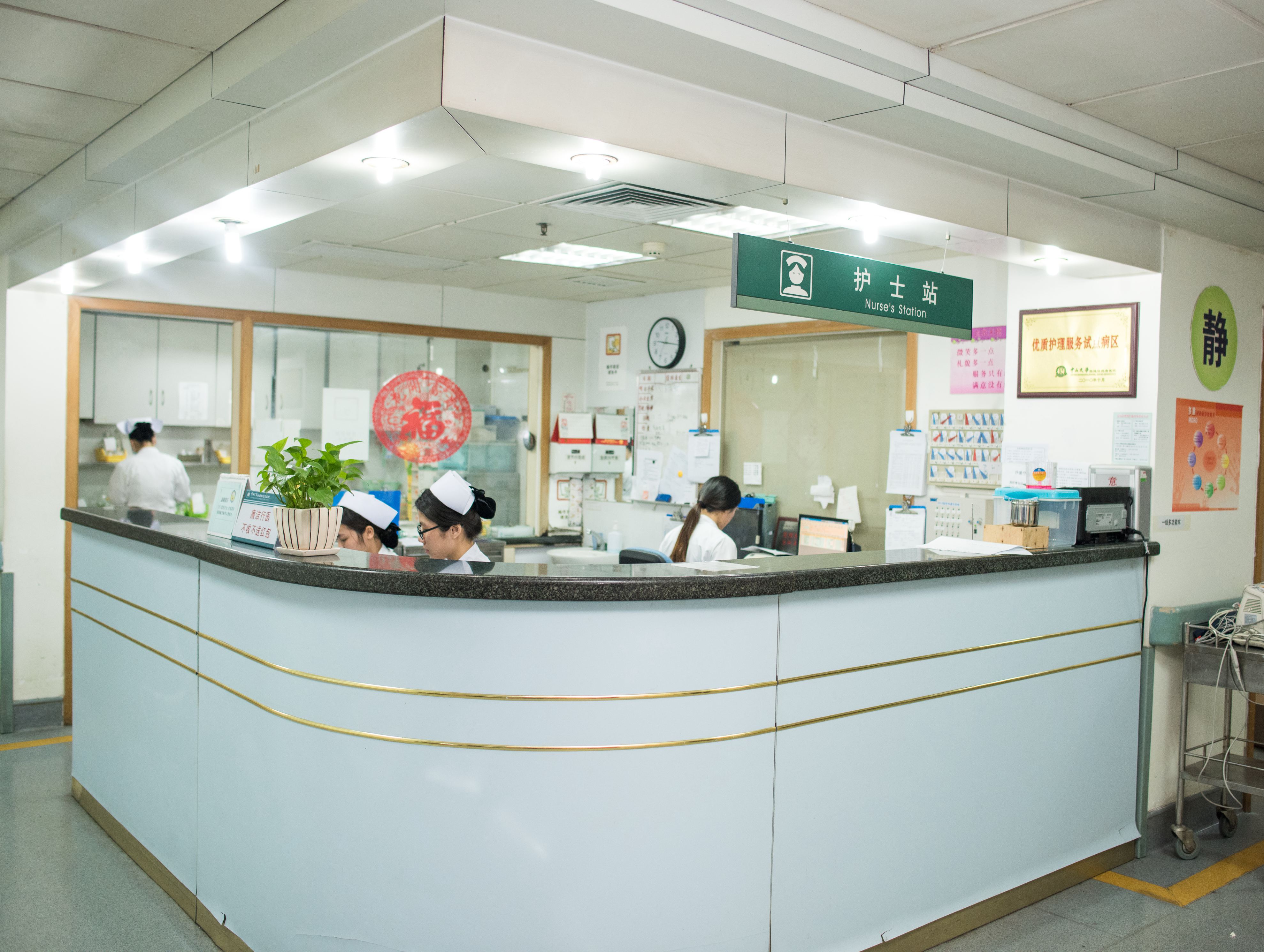 專業醫學翻譯